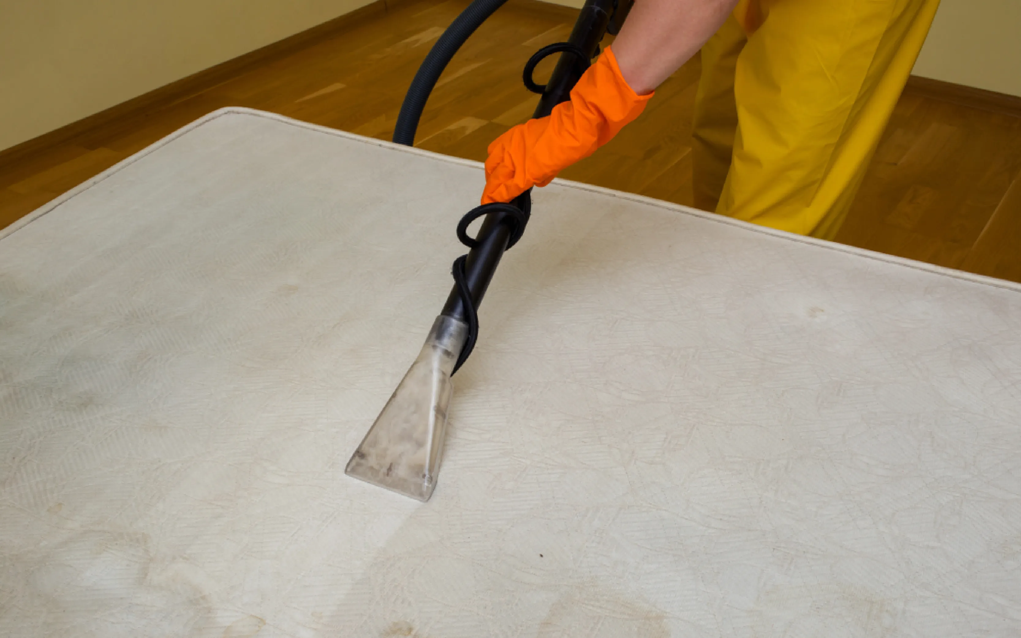 carpet cleaning in NYC, carpet cleaning in new york, carpet cleaning NYC, carpet cleaners in NYC, carpet cleaners in new york, commercial carpet cleaning, commercial carpet cleaning in NYC, NYC rug cleaners, rug cleaning services in NYC, same day carpet cleaning, same day rug cleaning